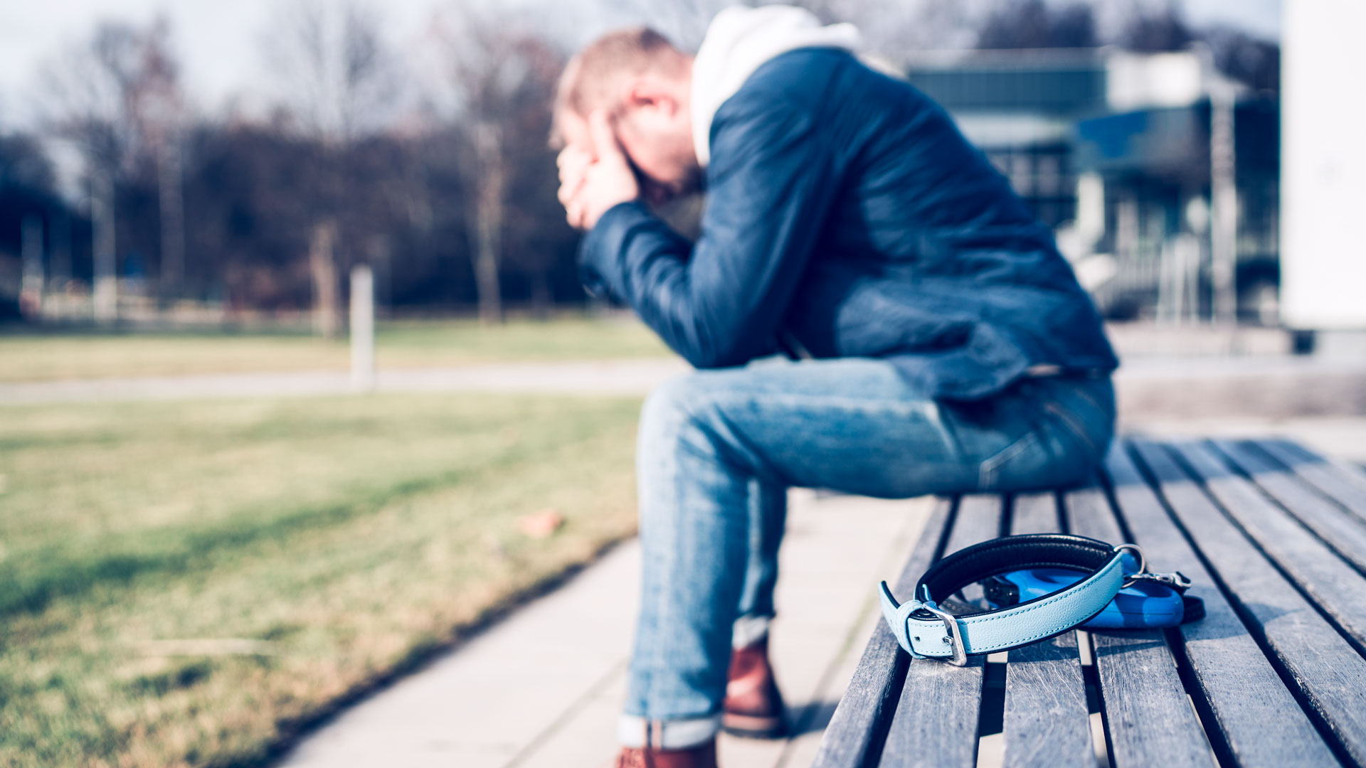 pérdida de una mascota